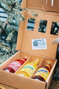 The Gift Box from Maine Soft Drinks