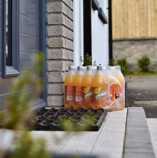 Pineapple Maine Soft Drinks